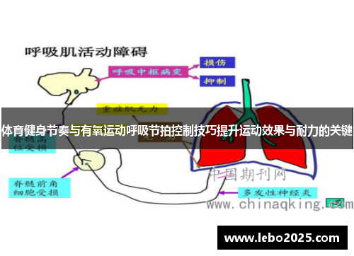 体育健身节奏与有氧运动呼吸节拍控制技巧提升运动效果与耐力的关键